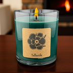 Telluride 10 oz Soy Candle - Pine and Juniper