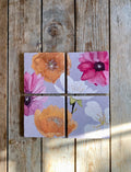 Coaster Set: Cactus Flowers on Grey