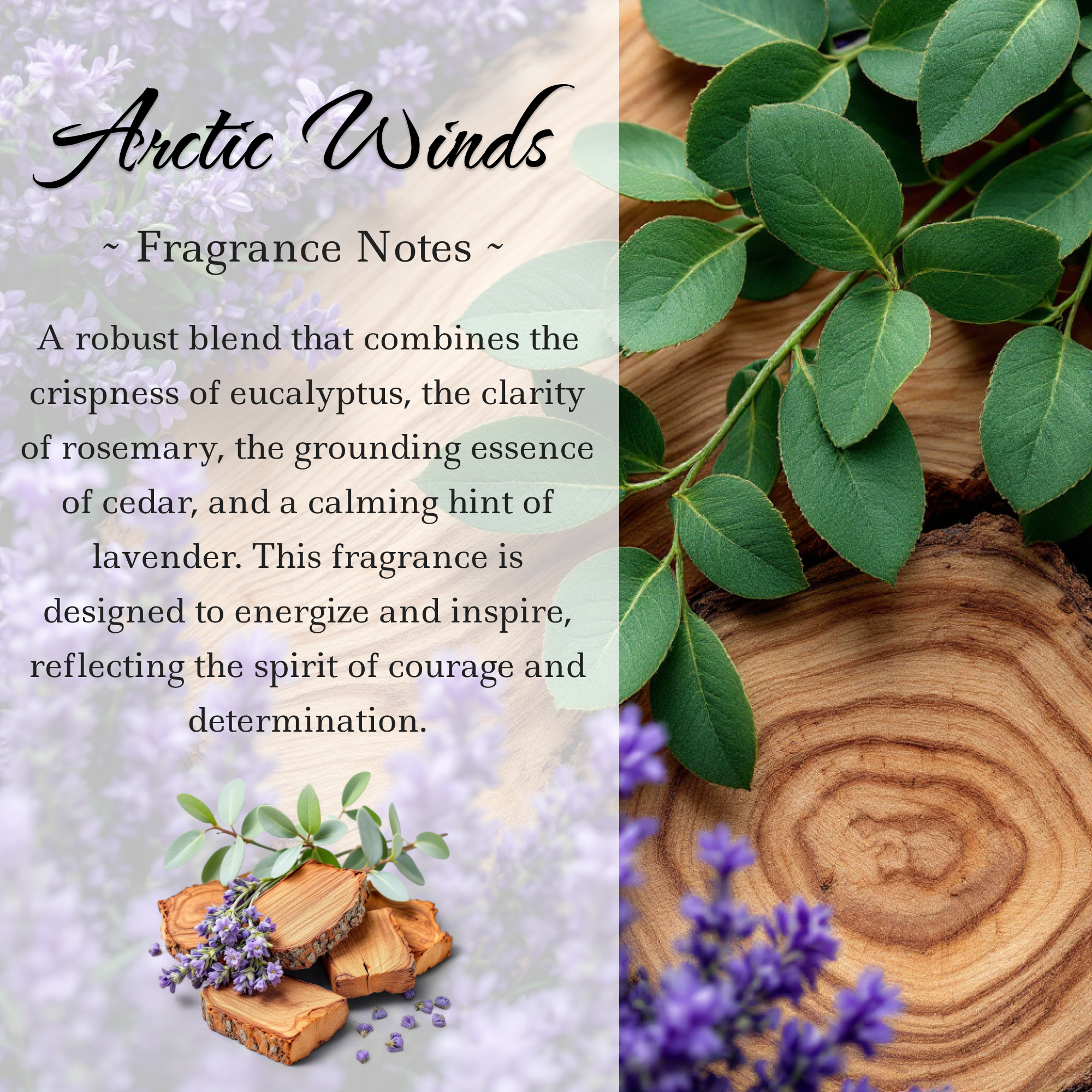 Aries Zodiac Crystal Candle — 10 oz