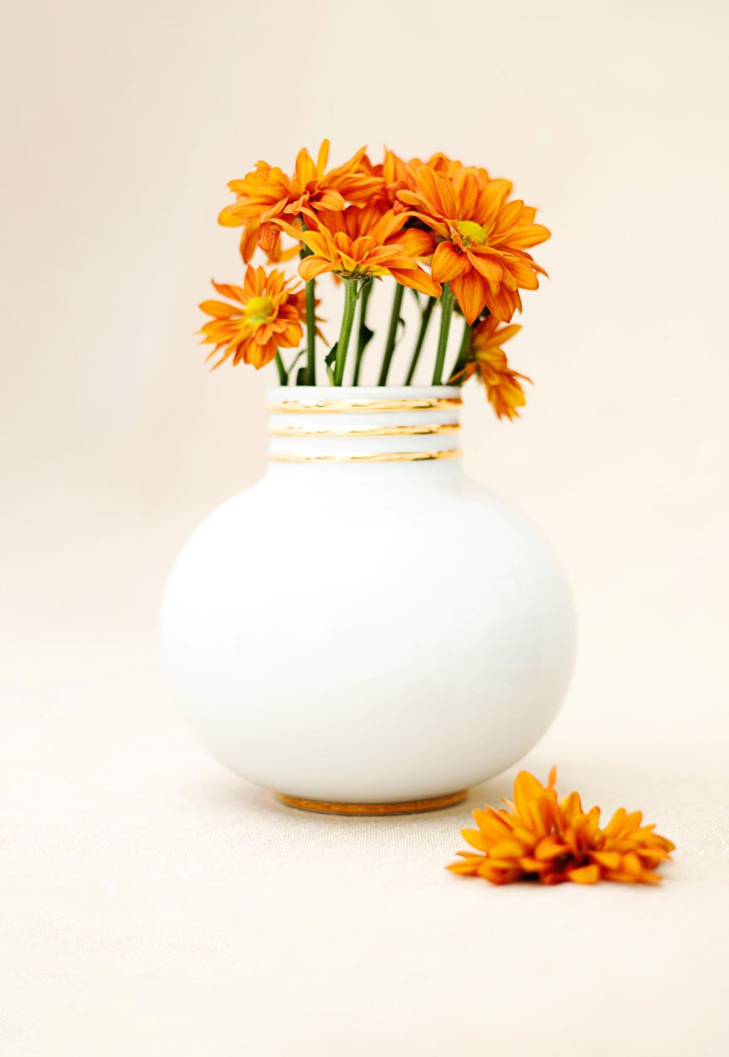 Arienne White Accent Vase