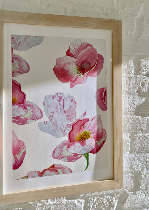 Art Print:  Wild Dog Rose on Ecru
