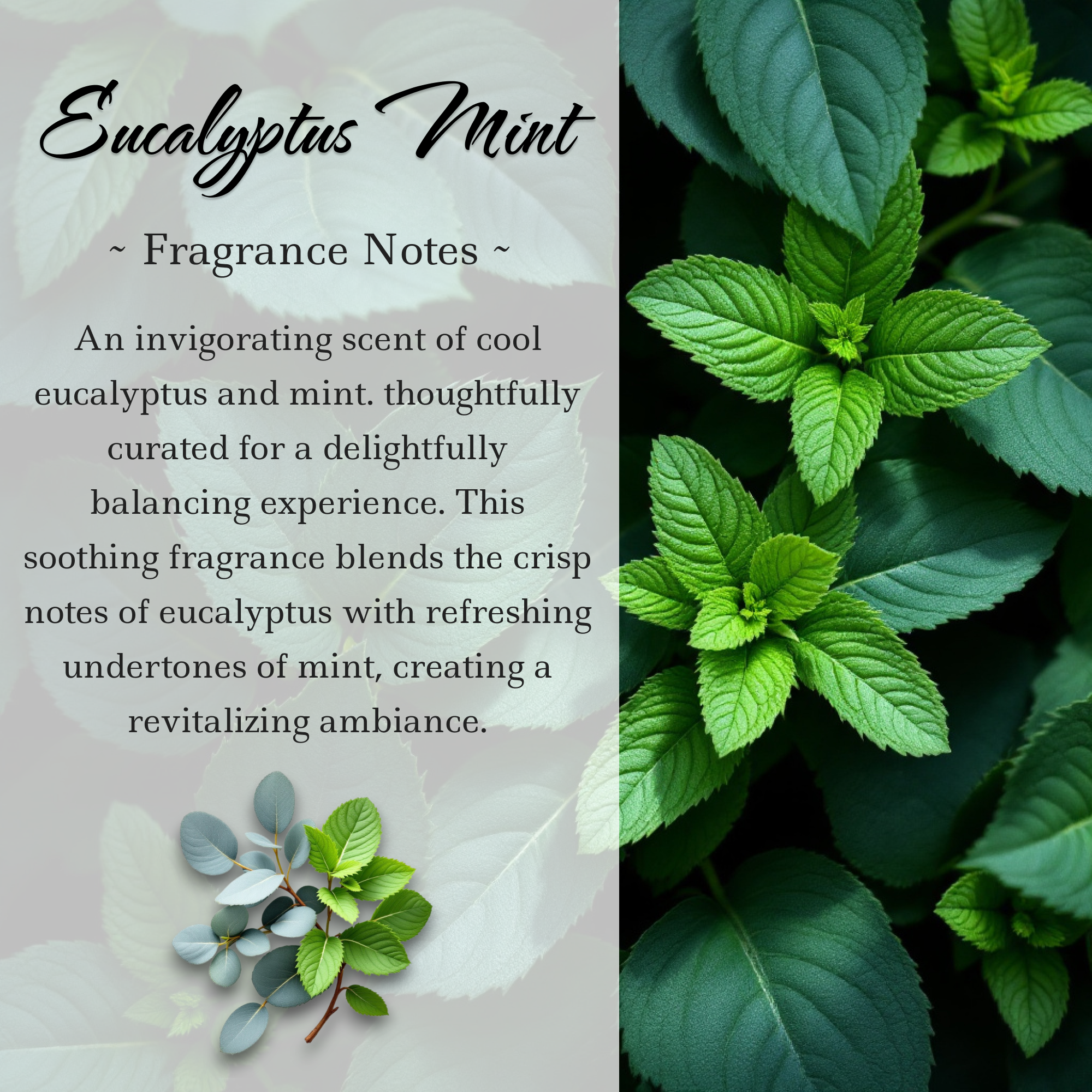 Cool Eucalyptus Mint Crystal Candle — 10 oz