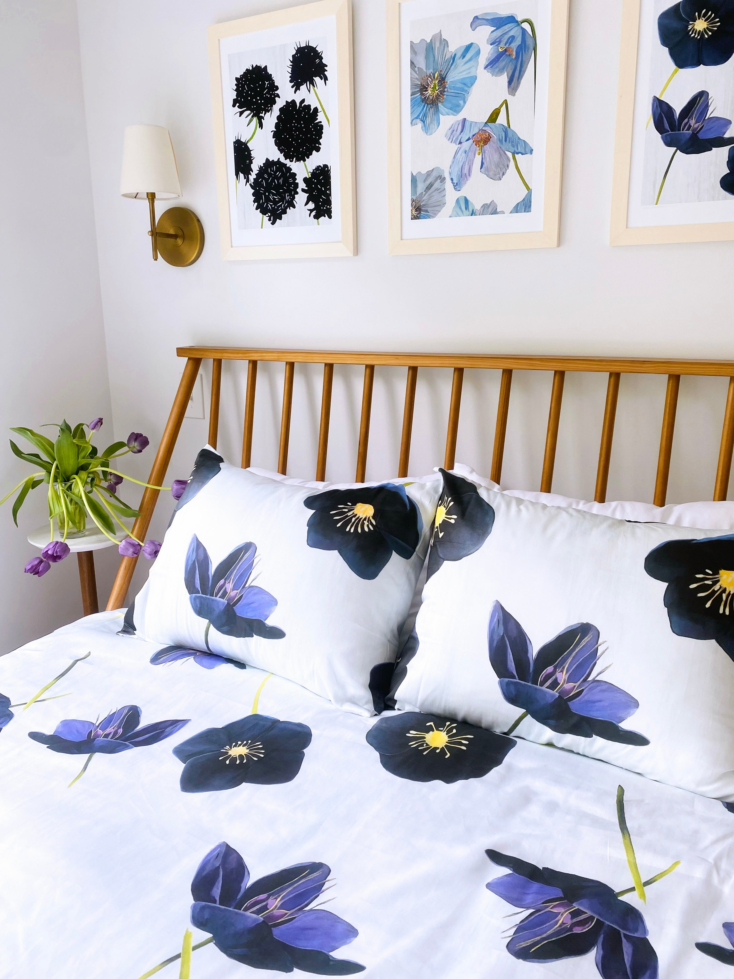 Art Print:  Himalayan Blue Poppies on Ecru