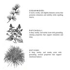 Signature-Kerze Embers + Leather – Vetiver, Zeder & Patschuli