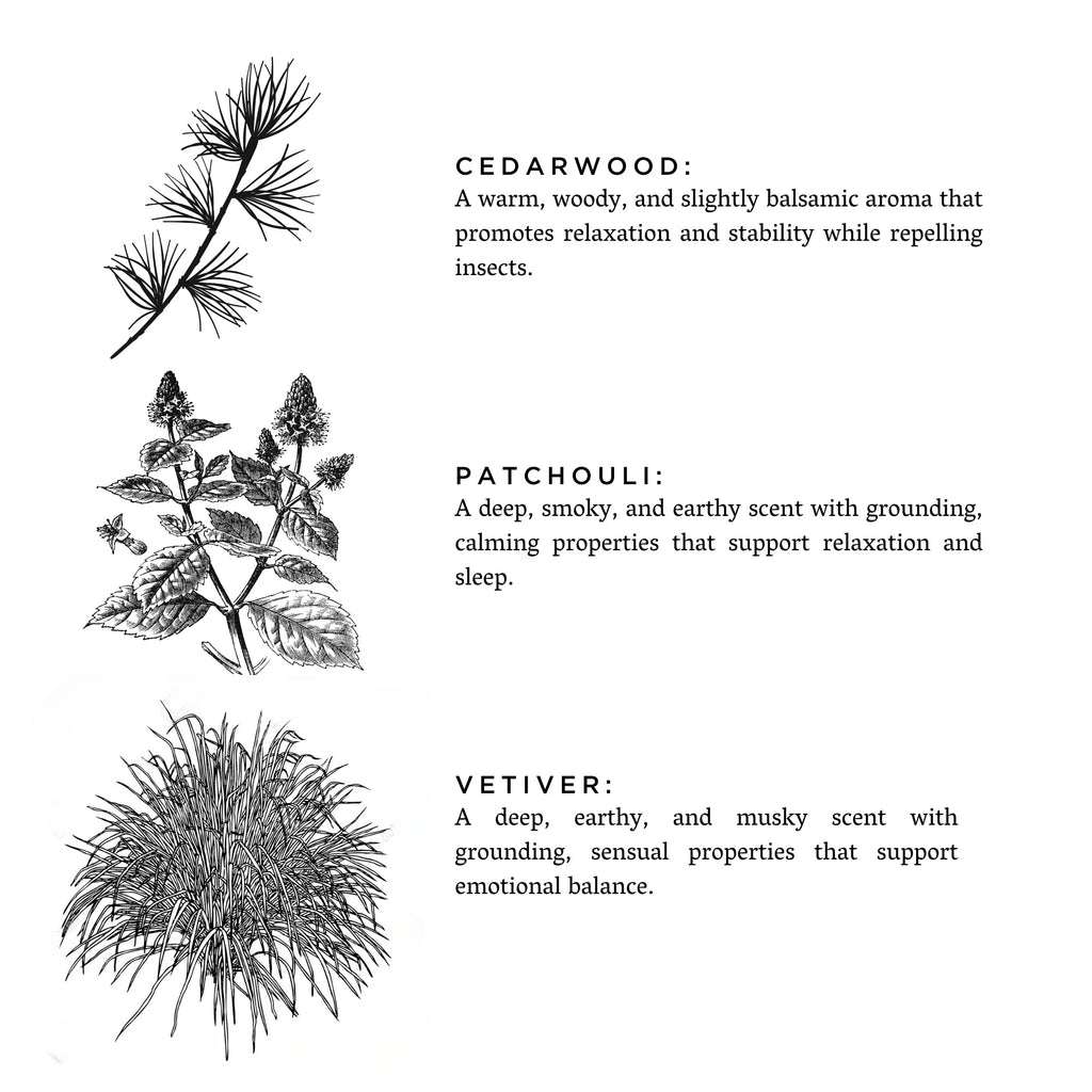 Embers + Leather Travel Candle – Vetiver, Cedar & Patchouli