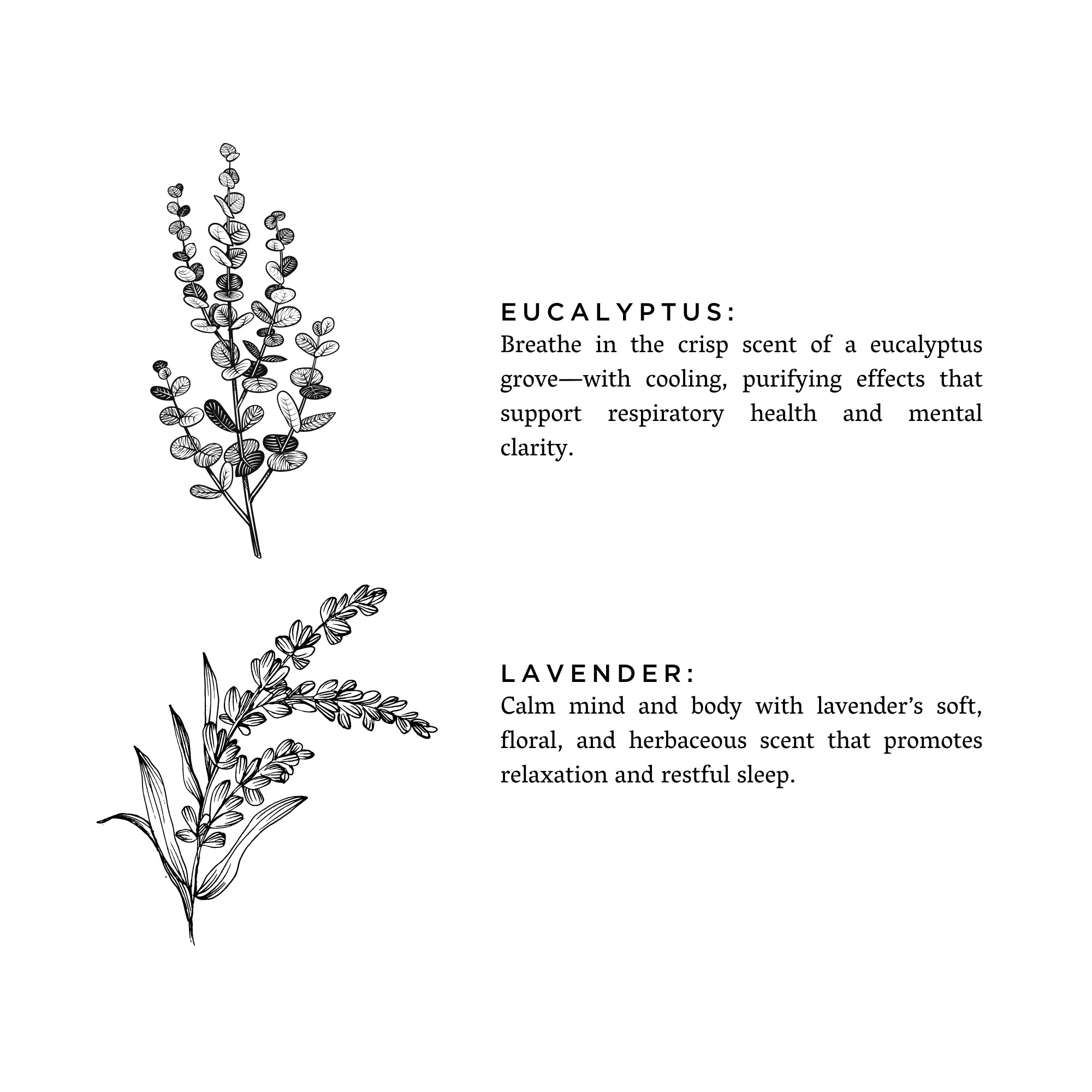 Eucalyptus + Lavender Linen Spray – Fresh Herbal Blend