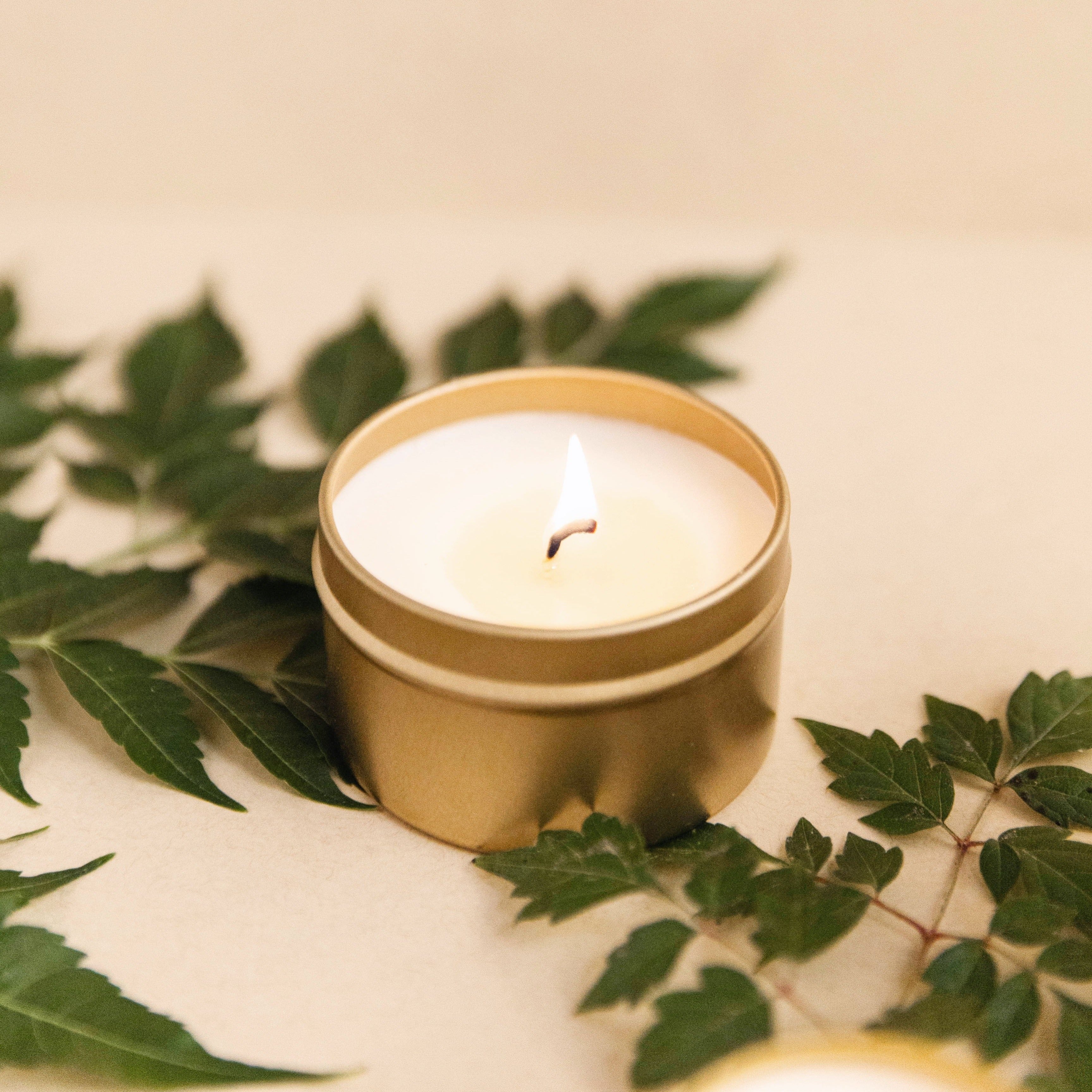 Forest Bathing Travel Candle – Fir, Pine & Patchouli