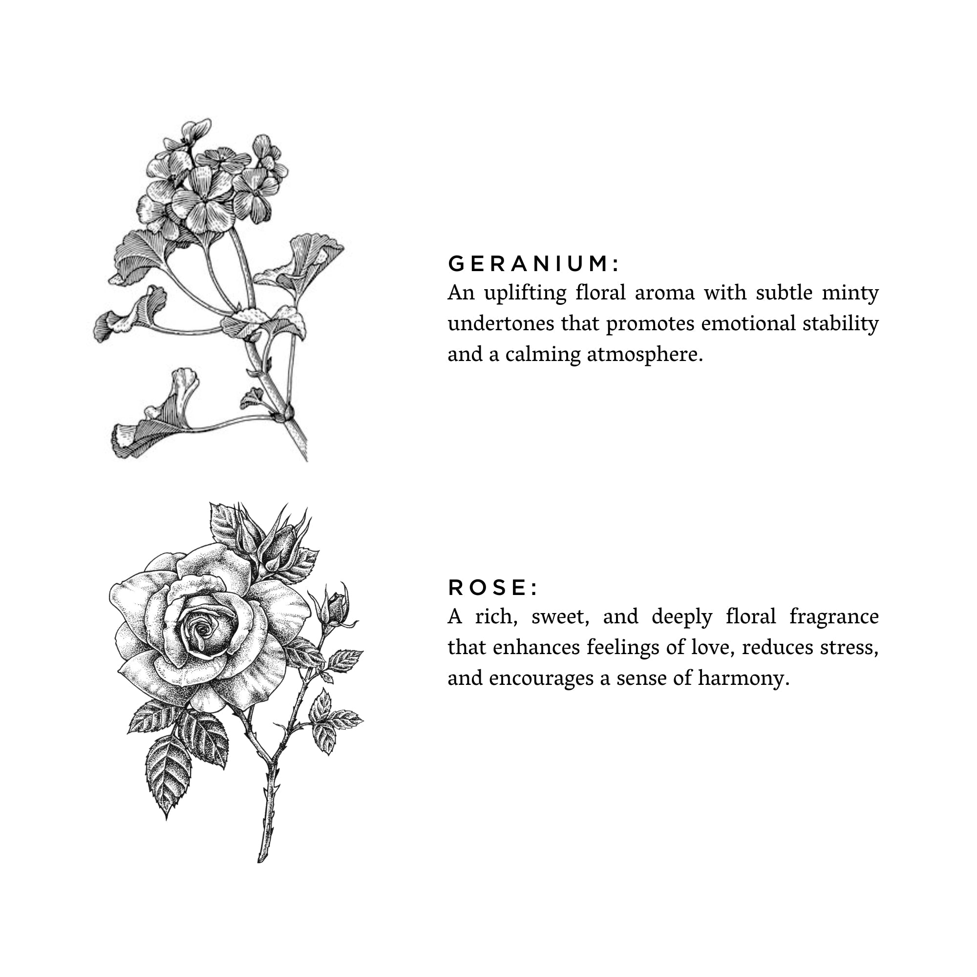 Geranium + Rose Travel Candle – Soft Floral Blend