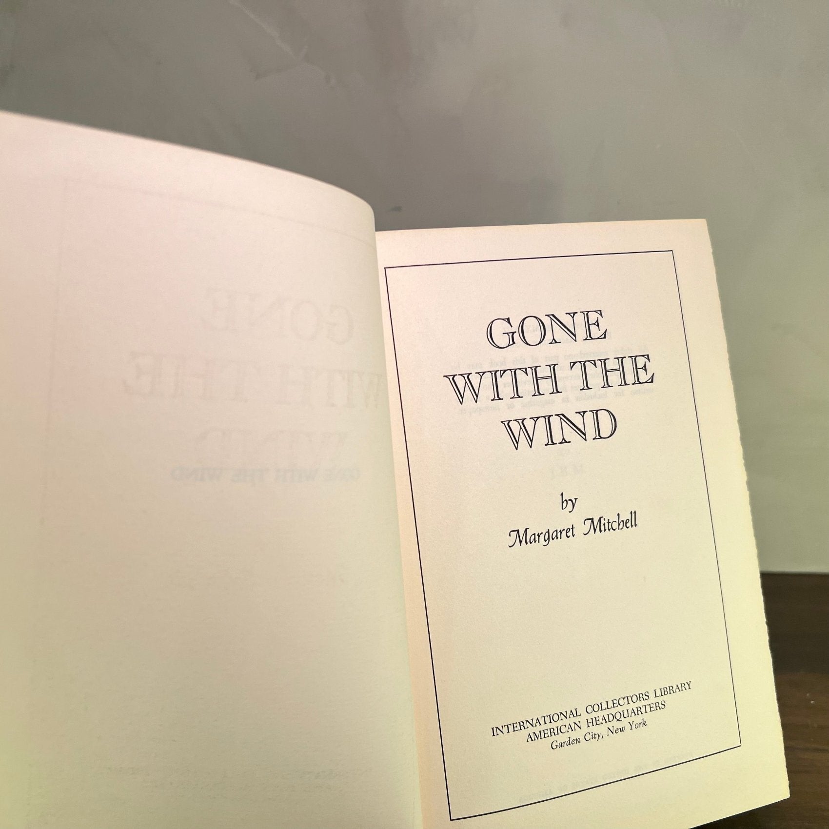 Blue Gilded Books — Classics Set