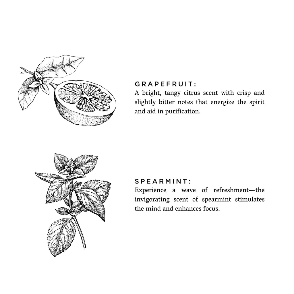 Grapefruit + Spearmint Travel Candle – Bright Citrus Mint Blend
