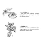 Reisekerze Grapefruit + Spearmint – Helle Zitrus-Minz-Mischung