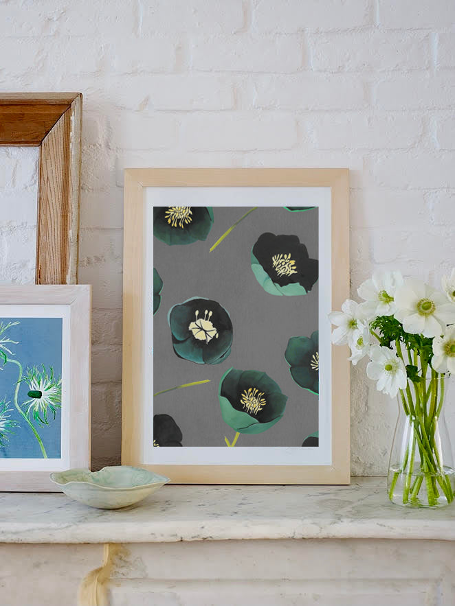 Art Print:  Green Winter Rose on Charcoal