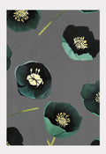Art Print:  Green Winter Rose on Charcoal