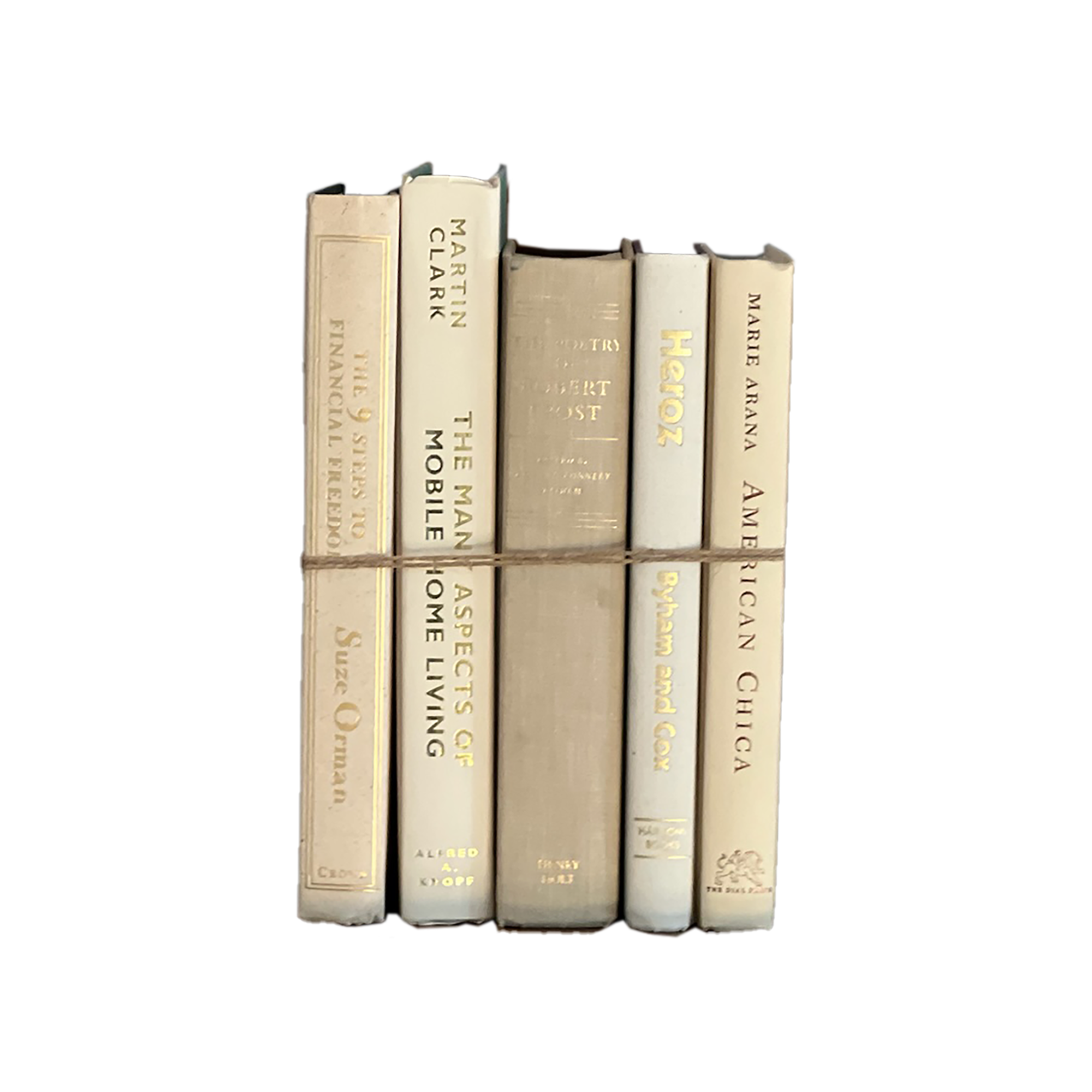 Modern Book Bundle by Color