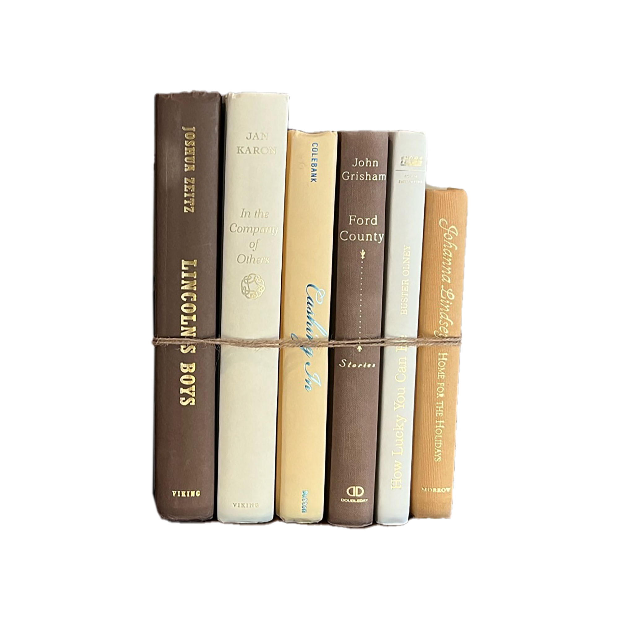 Modern Book Bundle by Color