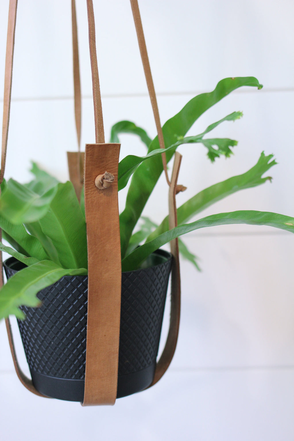 Moroccan Leather Plant Hanger