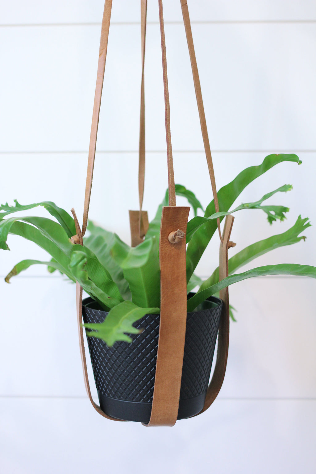 Moroccan Leather Plant Hanger