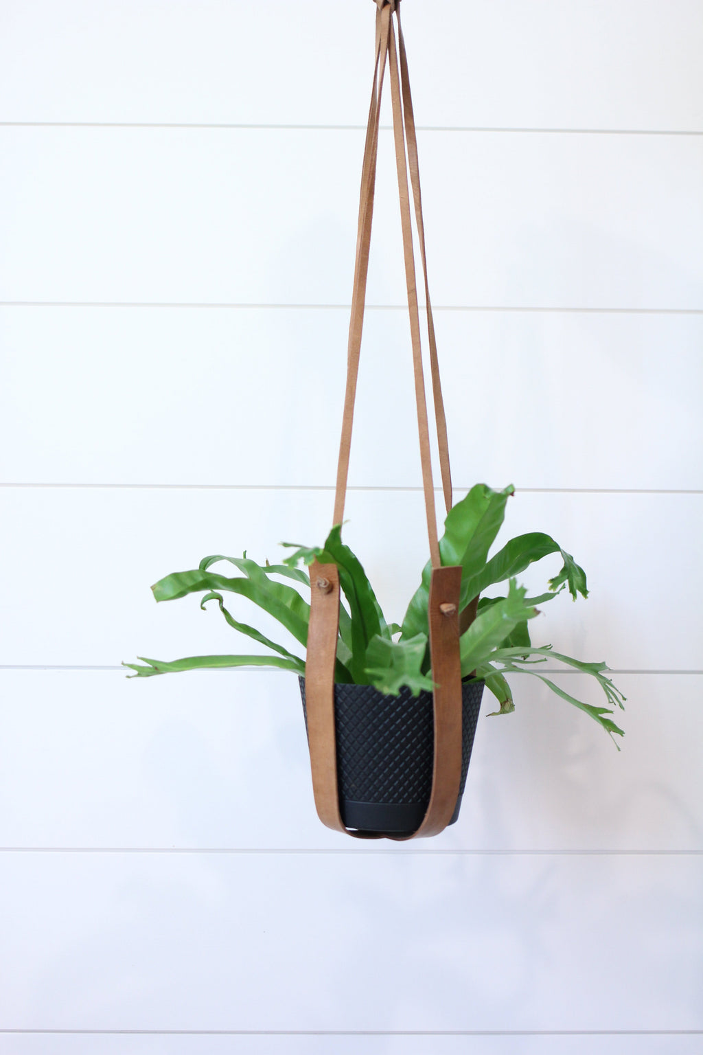 Moroccan Leather Plant Hanger