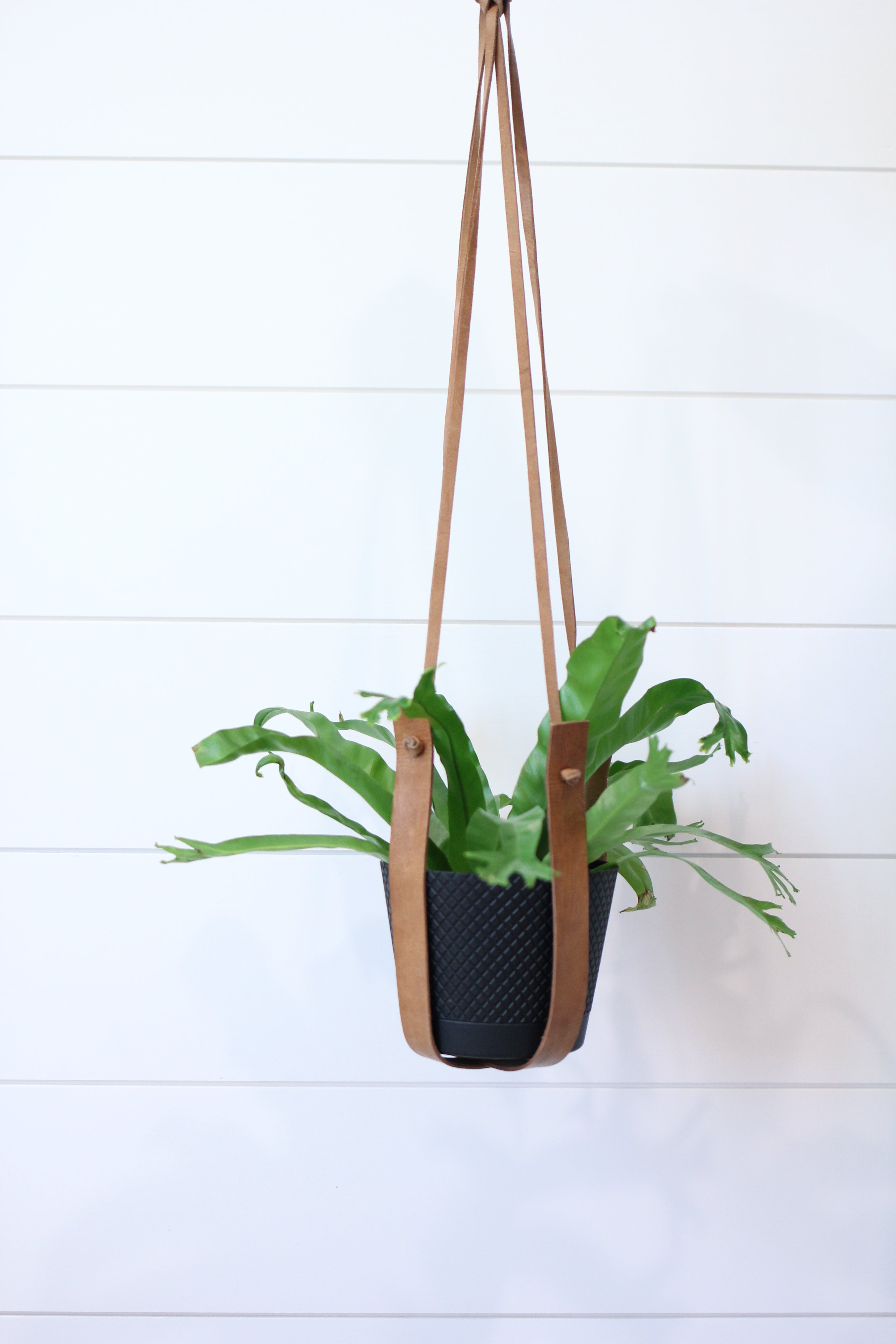 Moroccan Leather Plant Hanger