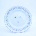 Johann Haviland Forever Spring Dinner Plates Set of 4