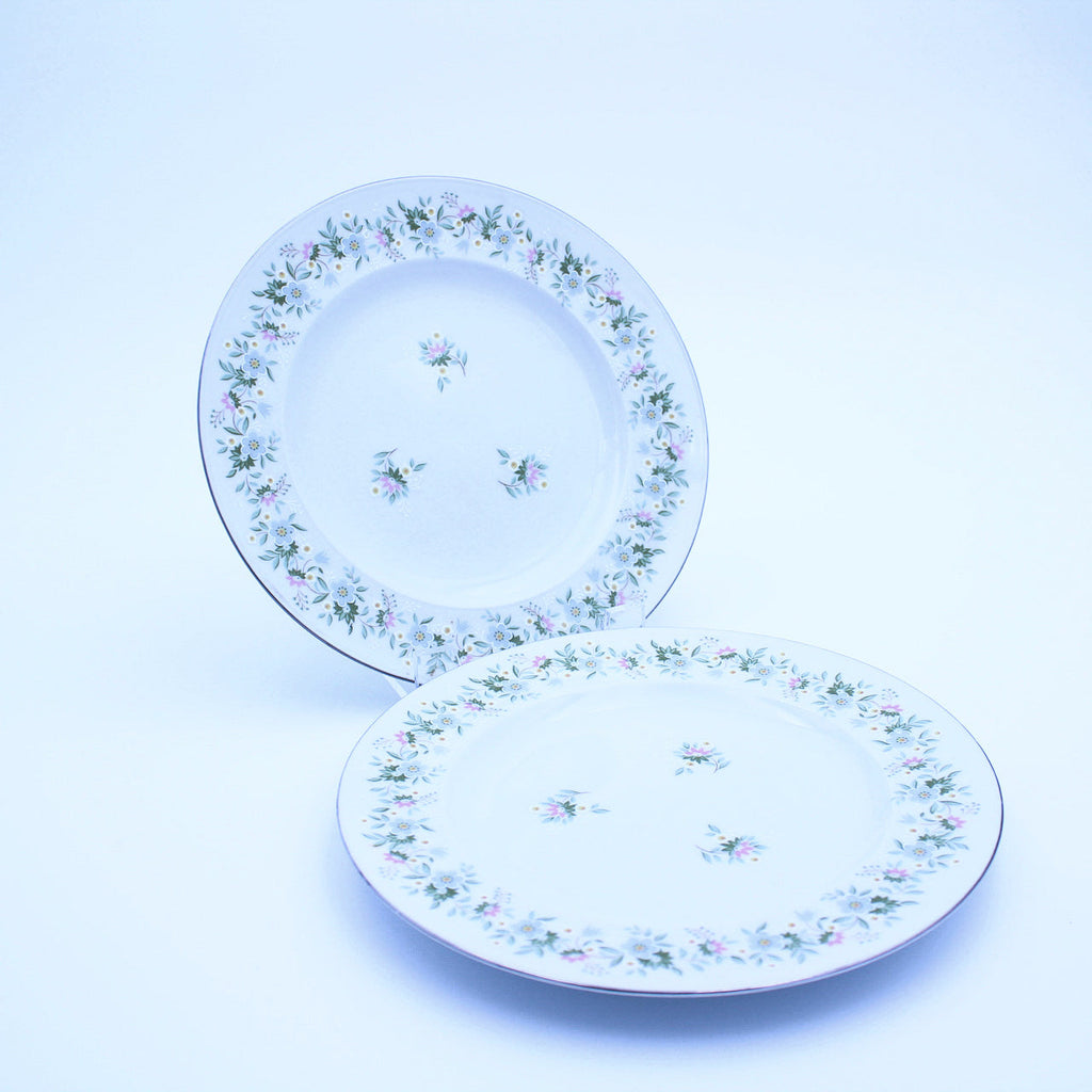 Johann Haviland Forever Spring Salad Plates Set of 2, 7¾"