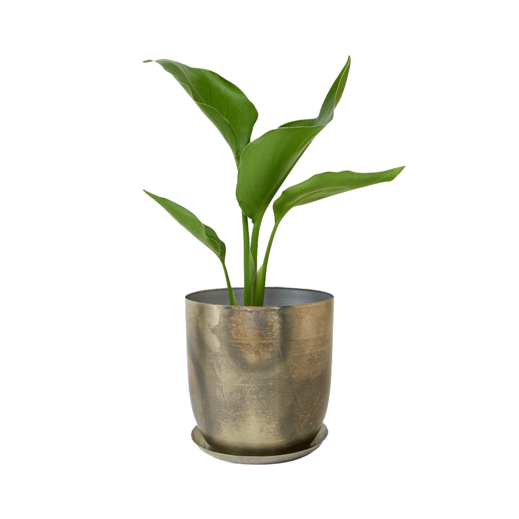Jo Metal Planter — 5" Silver
