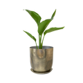 Jo Metal Planter — 5" Silver