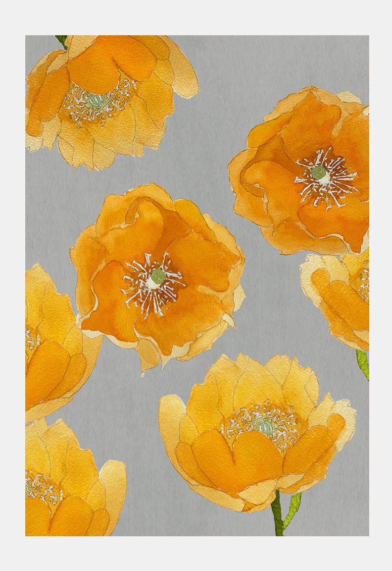 Art Print:  Orange Cactus Flowers on Grey