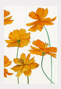 Art Print:  Orange Cosmos on Snow