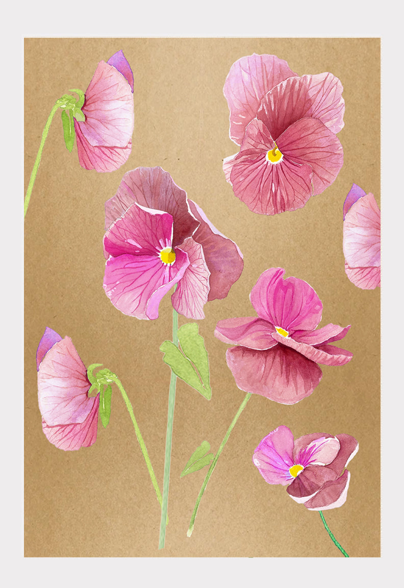 Art Print:  Pink Pansies on Baked Earth