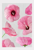Art Print:  Pink Rose of Sharon on Taupe