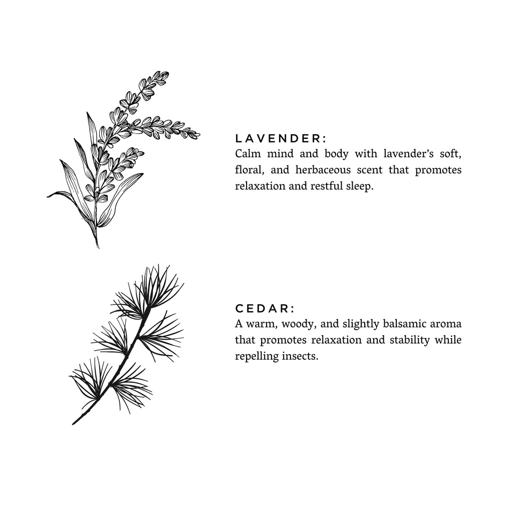 Slow North Lavender & Cedar - Signature Candle