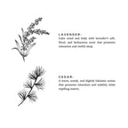 Lavendel + Zedernholz Wäschespray – Beruhigend blumig & holzig