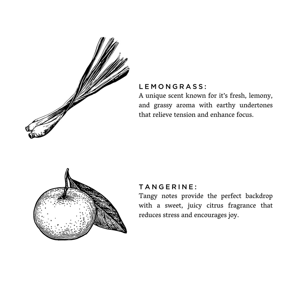 Lemongrass + Tangerine Travel Candle – Bright Citrus Blend