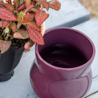 Keramik-Pflanztopf mit Gummieinsatz – Violett
