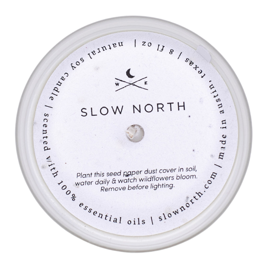 Lemongrass + Tangerine Signature Candle – Bright Citrus Blend