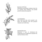 Of The Sea Becherkerze – Eukalyptus, Lavendel & Pfefferminze