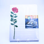 Spezialpapier Rote Rose 100 Blatt 8,5"x11" 24lb Schwergewicht