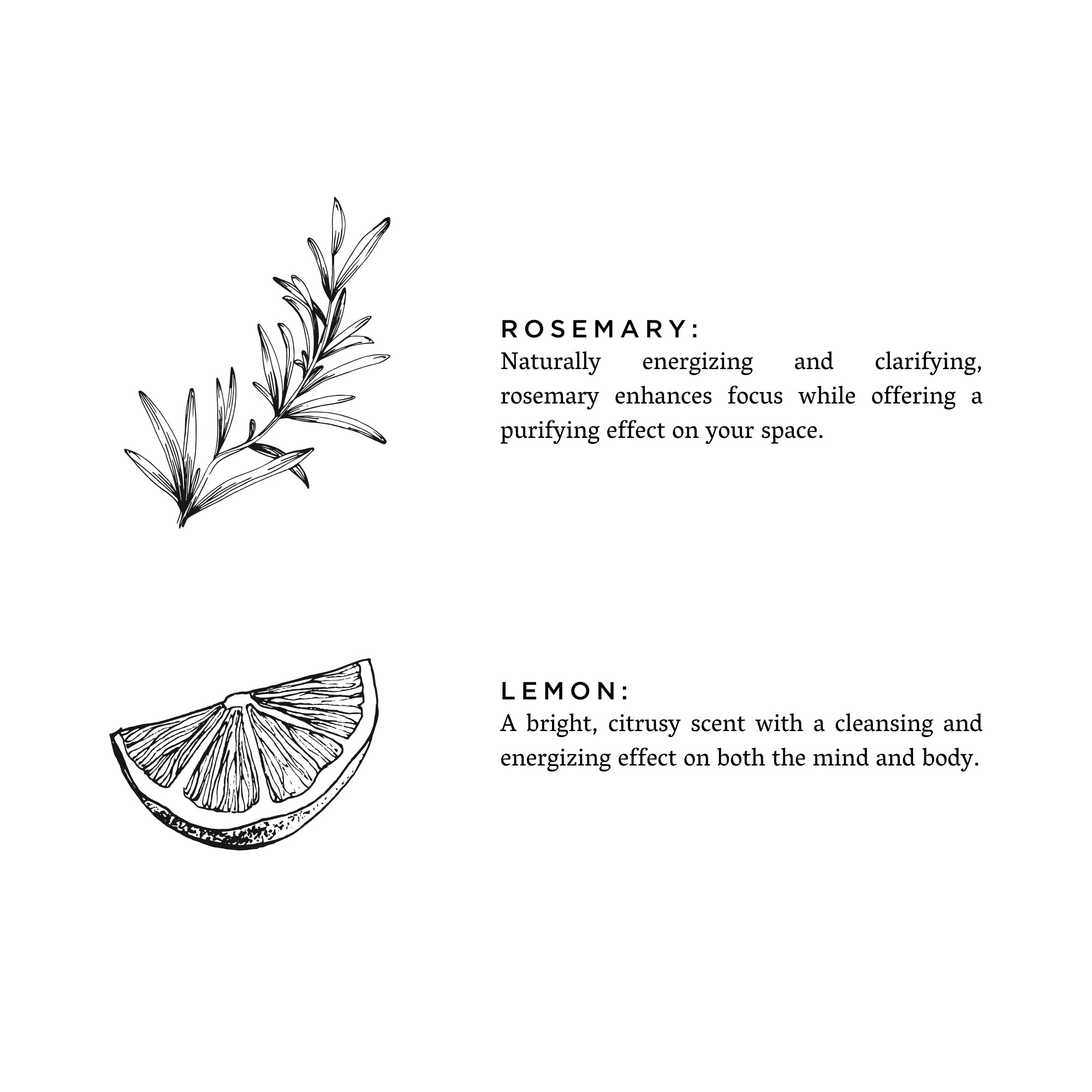 Rosemary + Lemon Travel Candle – Herbal Citrus Blend
