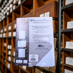 Greystone Recycling-Visitenkartenkarton, 30 %, vorgestanzt, 250 Karten
