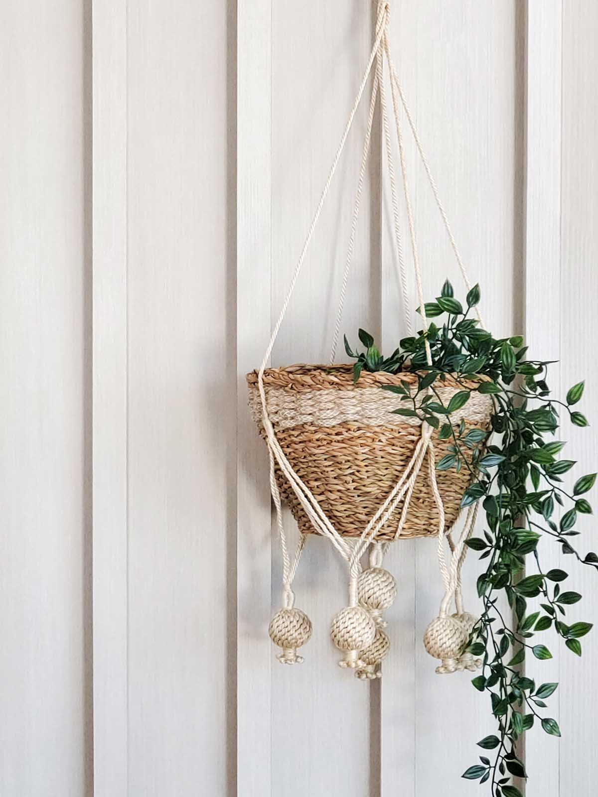 Kadam Jute Plant Hanger – Natural