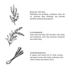 Shangri-La Signature Kerze – Eukalyptus, Lavendel & Zitronengras