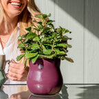 Keramik-Pflanztopf mit Gummieinsatz – Violett