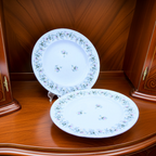 Johann Haviland Forever Spring Salad Plates Set of 2, 7¾"