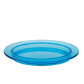 Blue Glass Oval Plate - Translucent Molded Glass