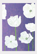 Art Print:  White Poppies on Violet