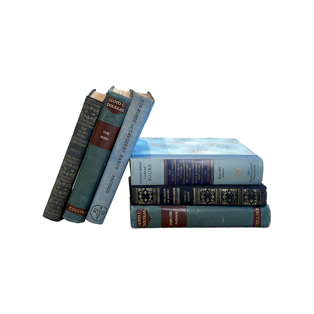 Vintage & Antique Books — Blue Collection