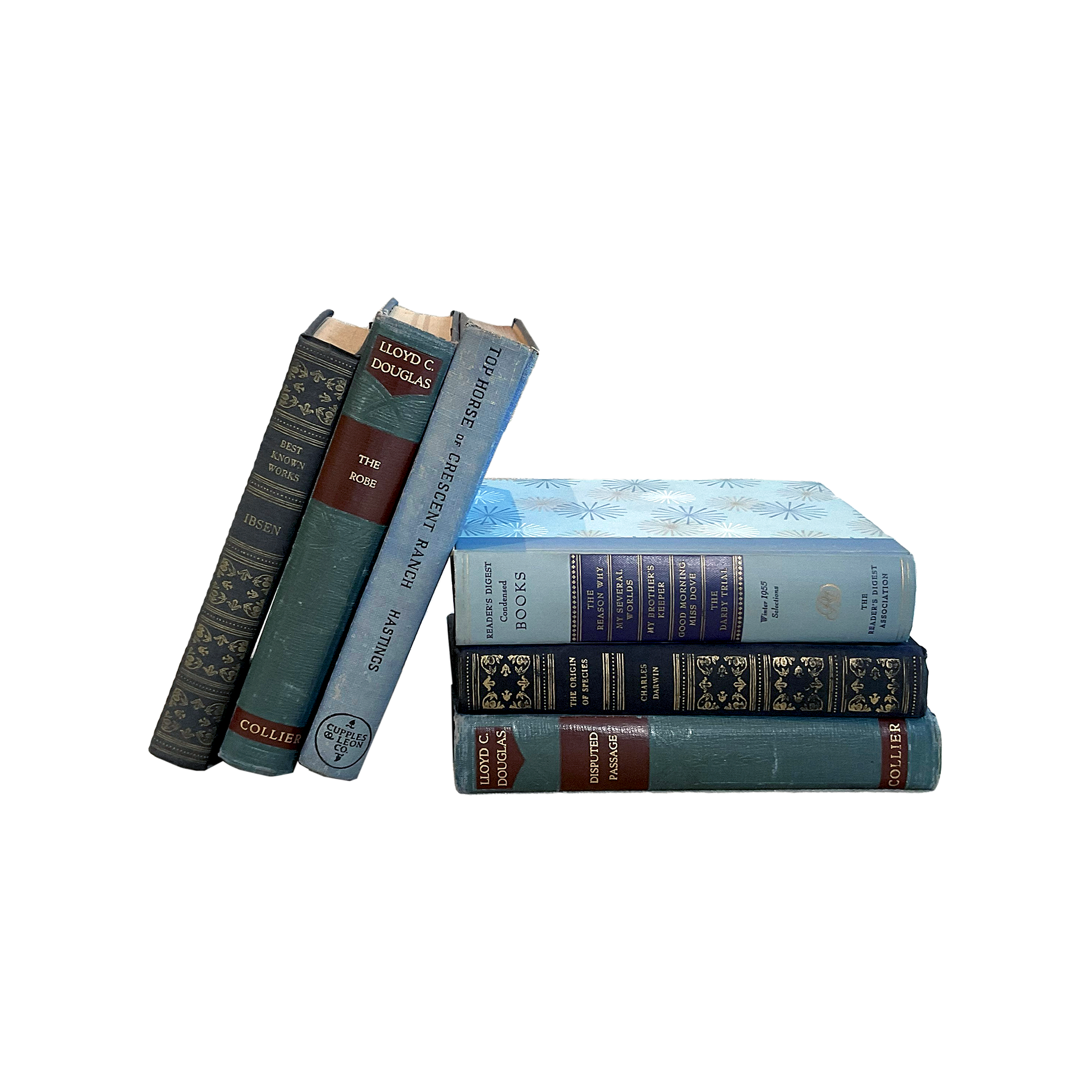 Vintage & Antique Books — Blue Collection