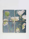 Coaster Set: Queen Anne's Lace on Teal