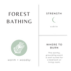 Forest Bathing Reiselaterne – Tanne, Kiefer & Patschuli